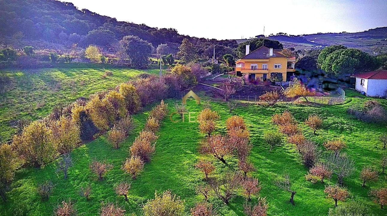 Quinta T7 para Venda em Carregado e Cadafais Foto 60