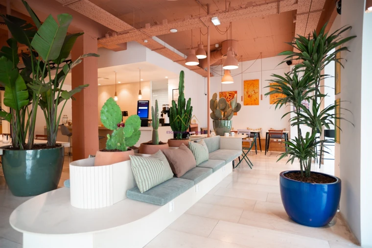 Escritório para Arrendamento em União das Freguesias de Setúbal Foto 1