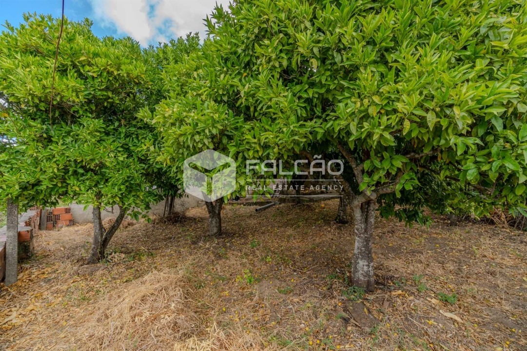 Moradia T9 para Venda em Pernes Foto 27