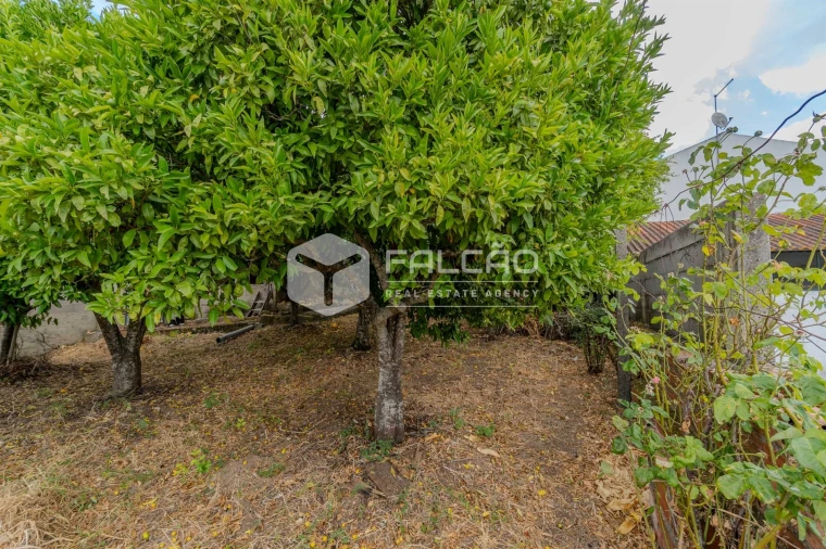 Moradia T9 para Venda em Pernes Foto 28