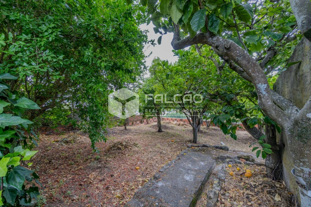 Moradia T9 para Venda em Pernes Foto 23