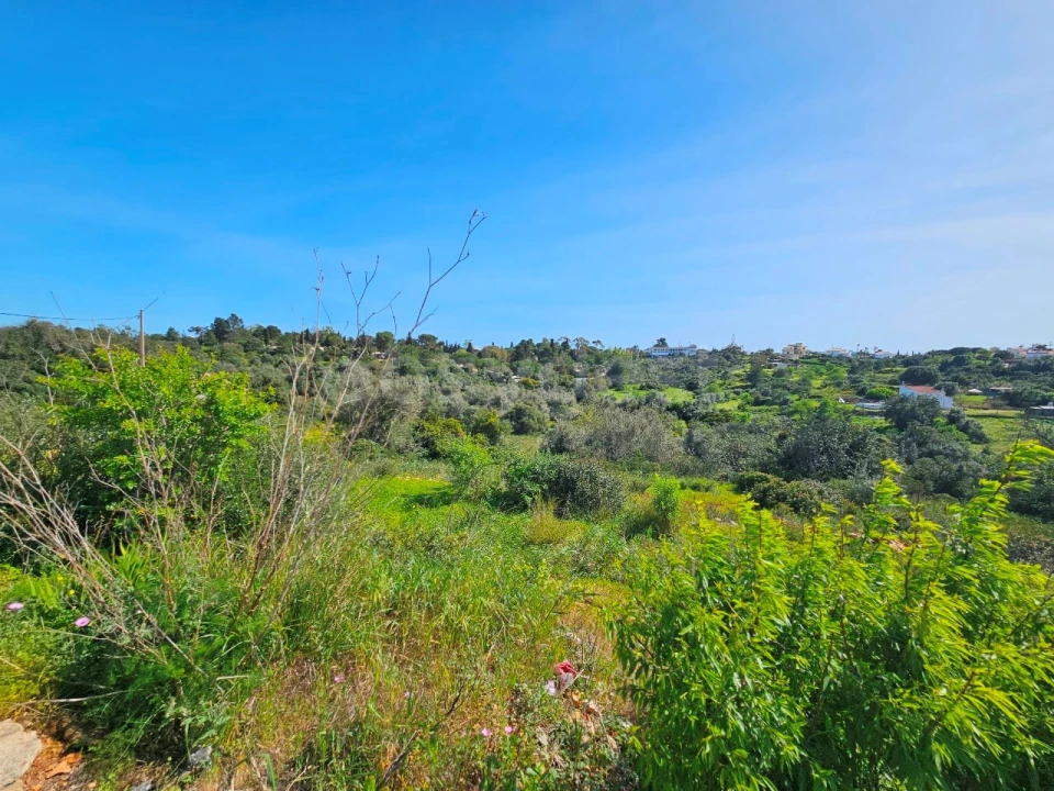 Terreno para Venda em Ferragudo Foto 5