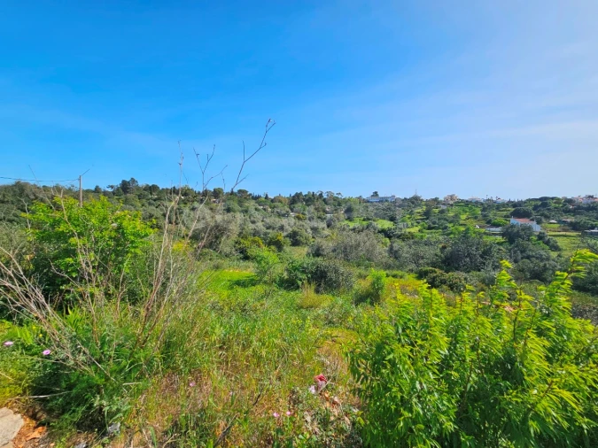 Terreno para Venda em Ferragudo Foto 5