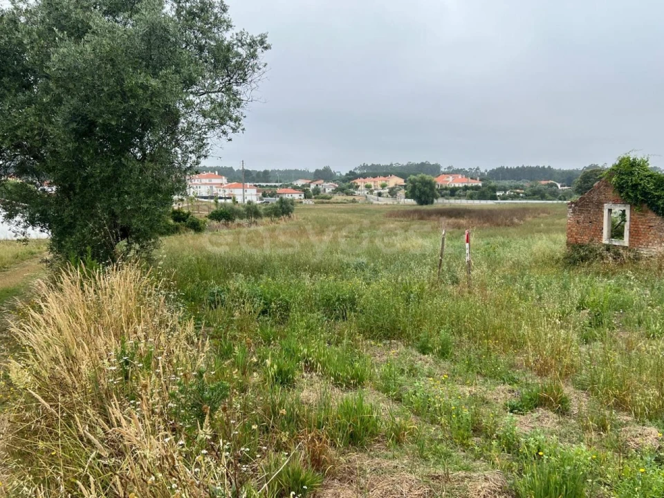 Terreno para Venda em Calvaria de Cima Foto 5