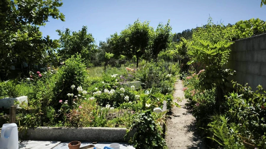 Moradia T4 para Venda em Trouxemil e Torre de Vilela Foto 13