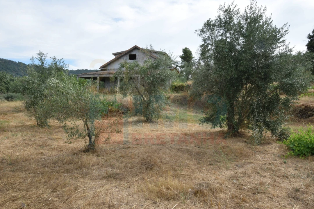 Terreno para Venda em Pero Viseu Foto 16