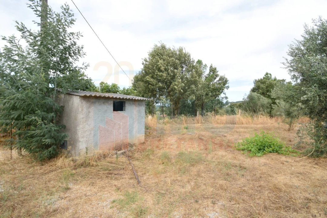 Terreno para Venda em Pero Viseu Foto 40