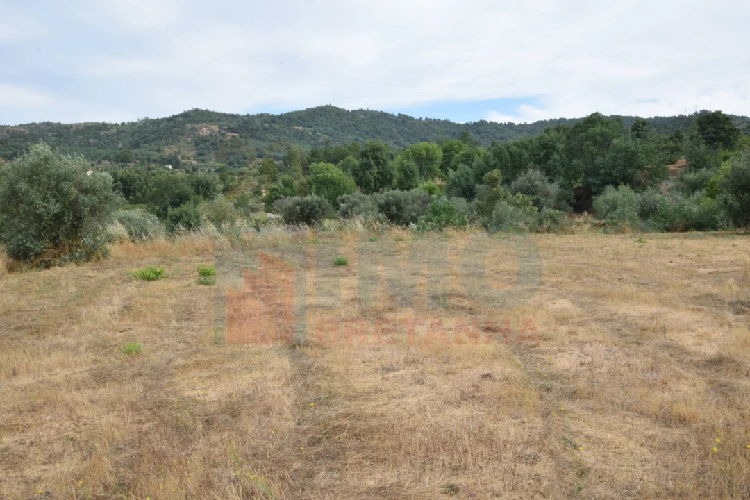 Terreno para Venda em Pero Viseu Foto 20