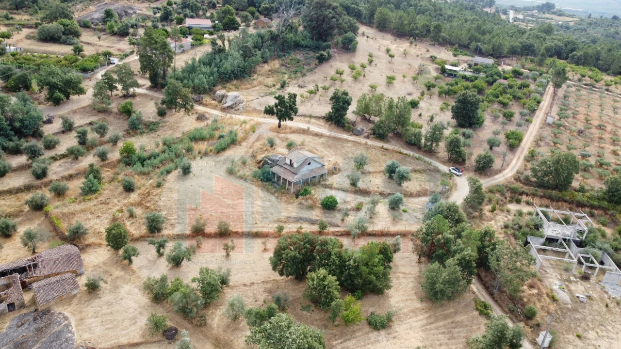 Terreno para Venda em Pero Viseu Foto 8