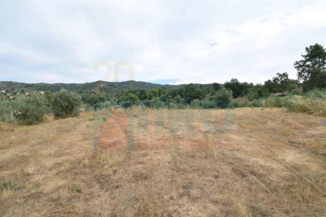 Terreno para Venda em Pero Viseu Foto 19