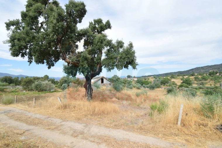Terreno para Venda em Pero Viseu Foto 29