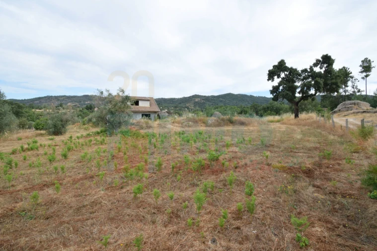 Terreno para Venda em Pero Viseu Foto 32