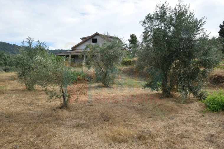 Terreno para Venda em Pero Viseu Foto 16