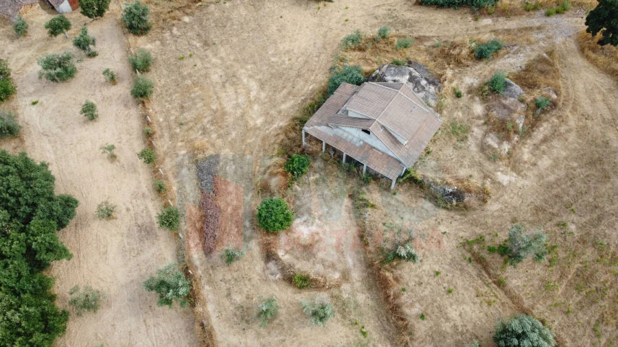 Terreno para Venda em Pero Viseu Foto 9