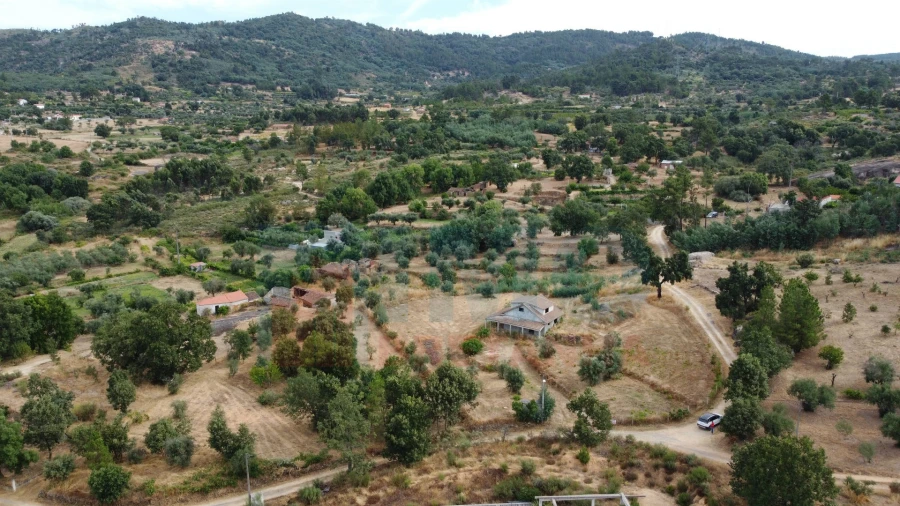 Terreno para Venda em Pero Viseu Foto 10