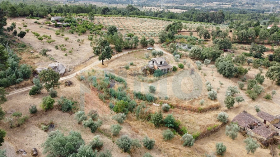 Terreno para Venda em Pero Viseu Foto 5
