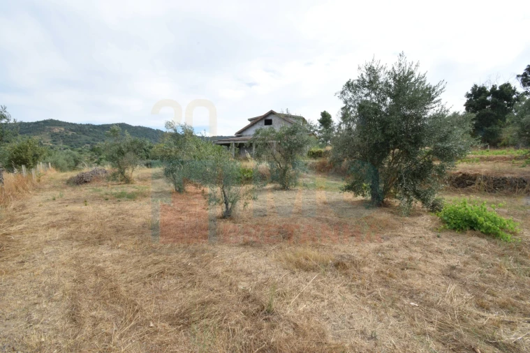 Terreno para Venda em Pero Viseu Foto 15