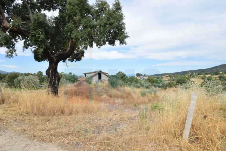 Terreno para Venda em Pero Viseu Foto 28