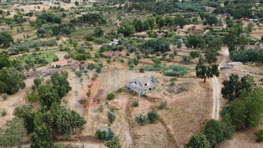 Terreno para Venda em Pero Viseu Foto 3