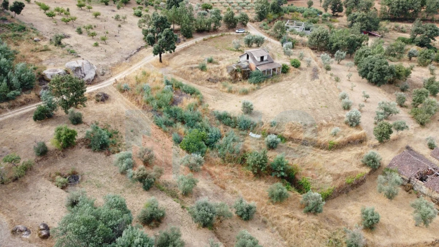 Terreno para Venda em Pero Viseu Foto 4