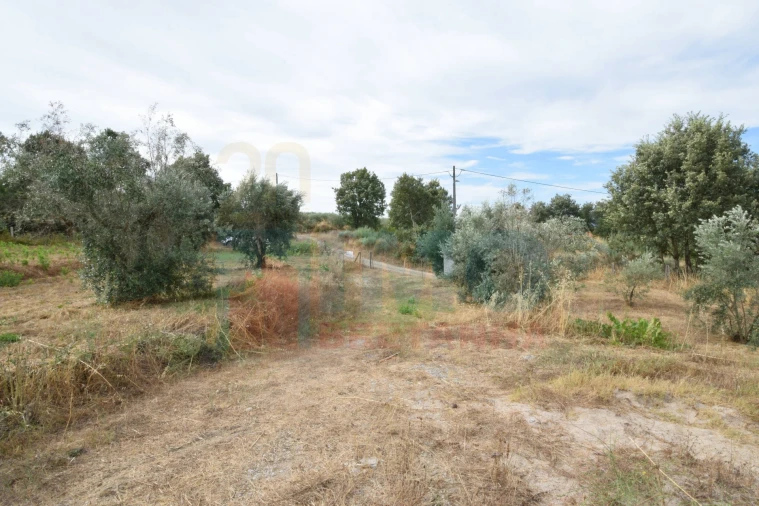 Terreno para Venda em Pero Viseu Foto 18