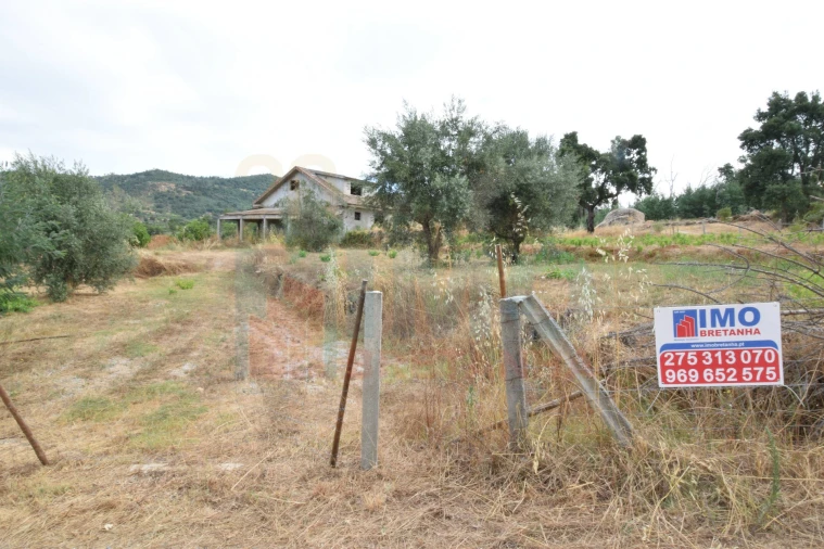 Terreno para Venda em Pero Viseu Foto 12