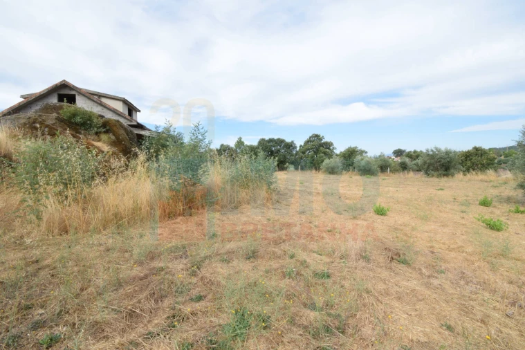 Terreno para Venda em Pero Viseu Foto 25