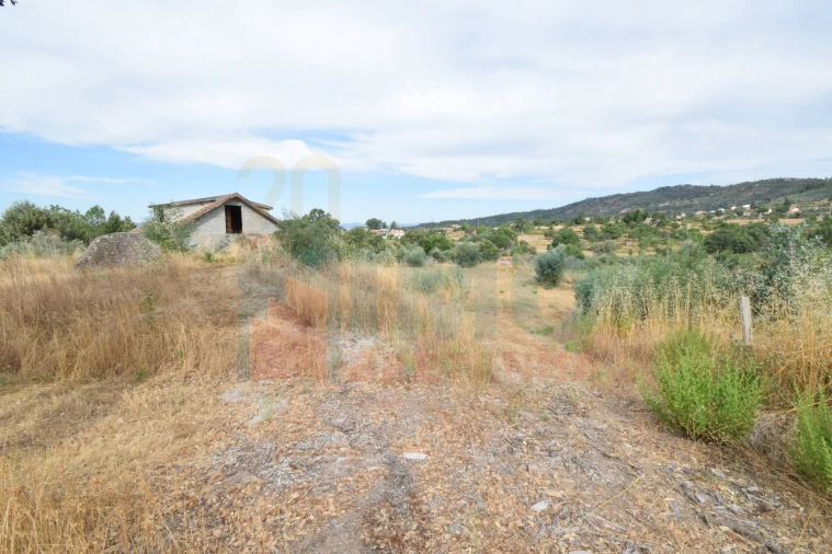 Terreno para Venda em Pero Viseu Foto 27