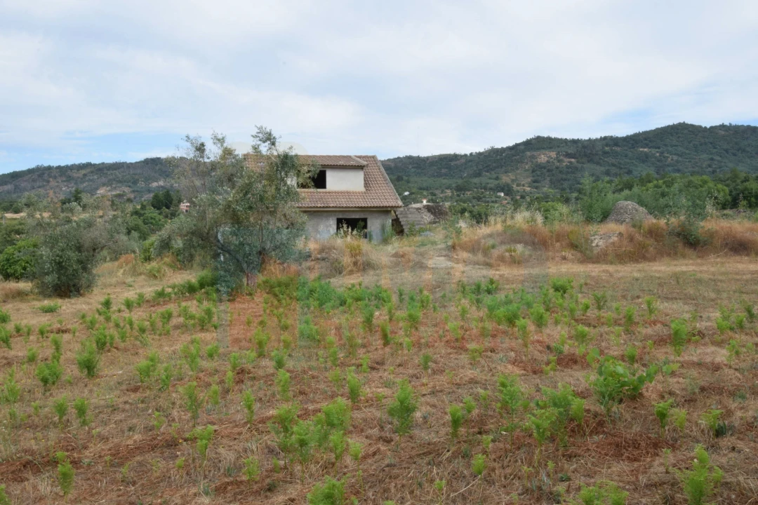 Terreno para Venda em Pero Viseu Foto 33