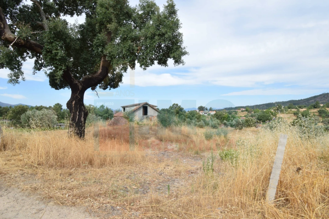 Terreno para Venda em Pero Viseu Foto 28