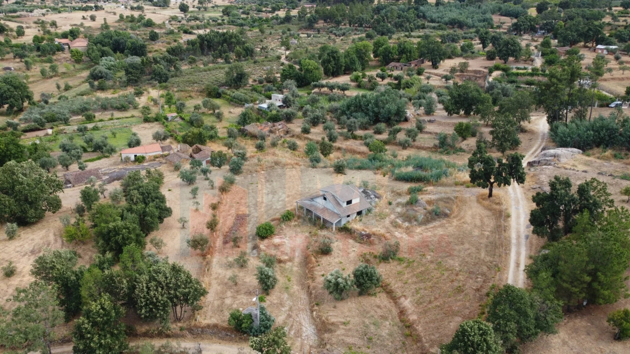 Terreno para Venda em Pero Viseu Foto 3