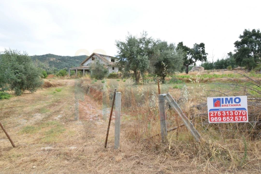 Terreno para Venda em Pero Viseu Foto 12