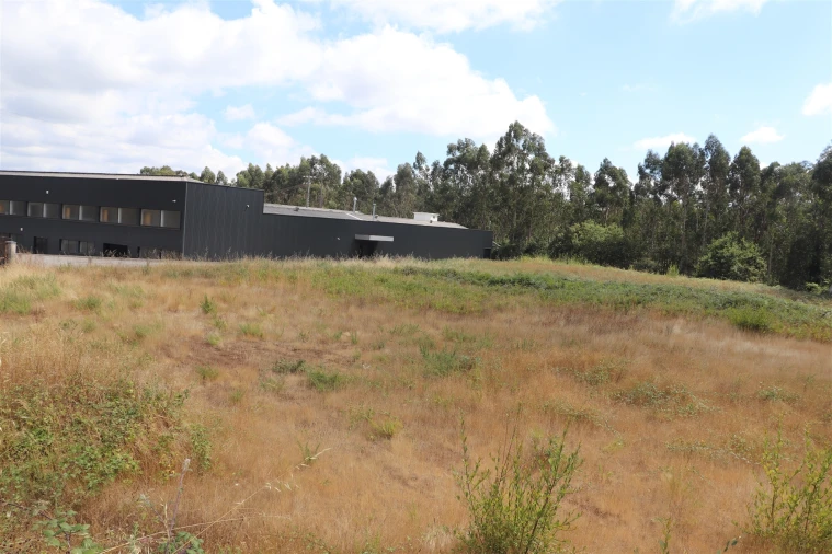 Terreno para Venda em Lustosa e Barrosas (Santo Estêvão) Foto 8