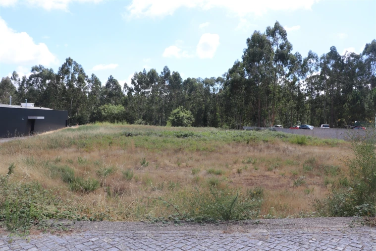 Terreno para Venda em Lustosa e Barrosas (Santo Estêvão) Foto 7