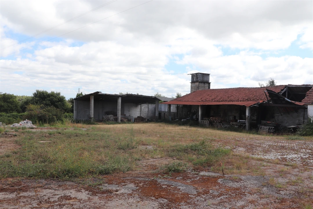 Armazém para Venda em Lustosa e Barrosas (Santo Estêvão) Foto 14