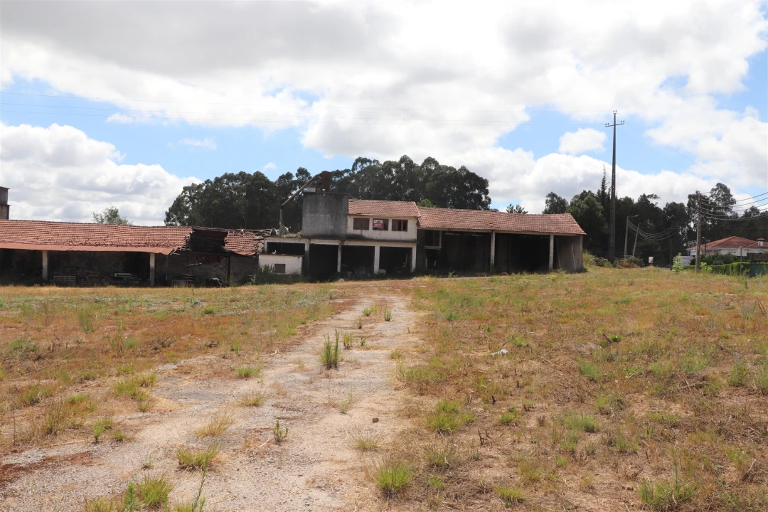 Armazém para Venda em Lustosa e Barrosas (Santo Estêvão) Foto 1