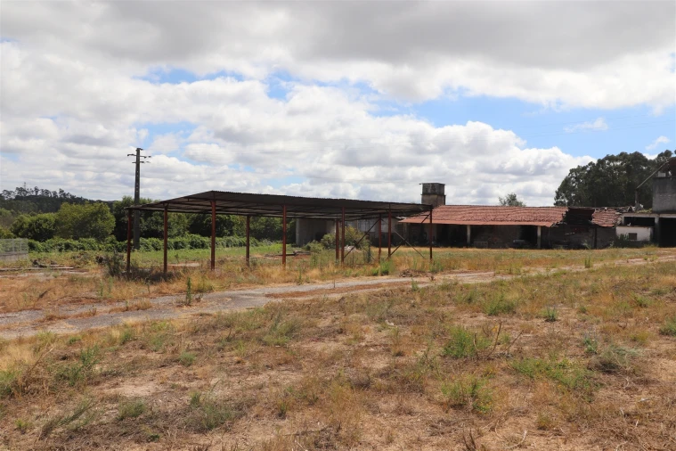 Armazém para Venda em Lustosa e Barrosas (Santo Estêvão) Foto 8