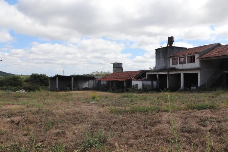 Armazém para Venda em Lustosa e Barrosas (Santo Estêvão) Foto 23