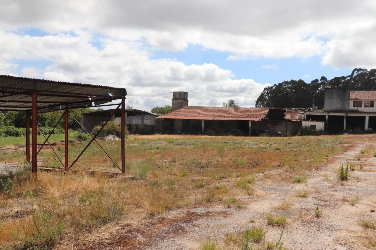 Armazém para Venda em Lustosa e Barrosas (Santo Estêvão) Foto 9