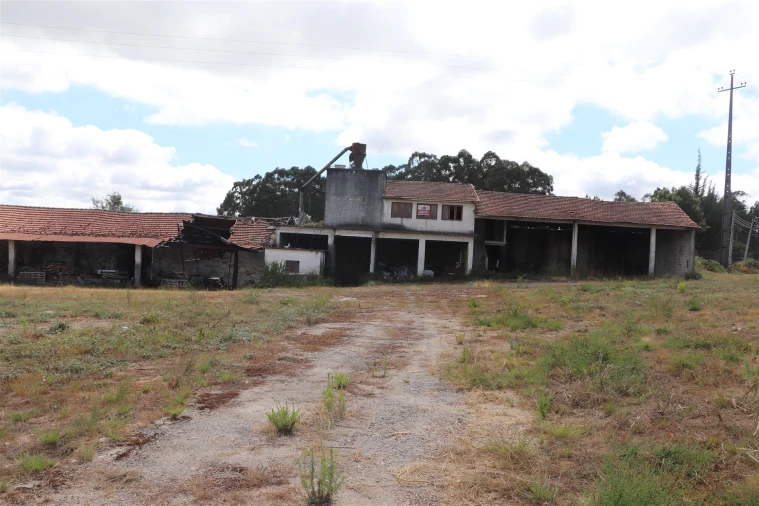 Armazém para Venda em Lustosa e Barrosas (Santo Estêvão) Foto 10
