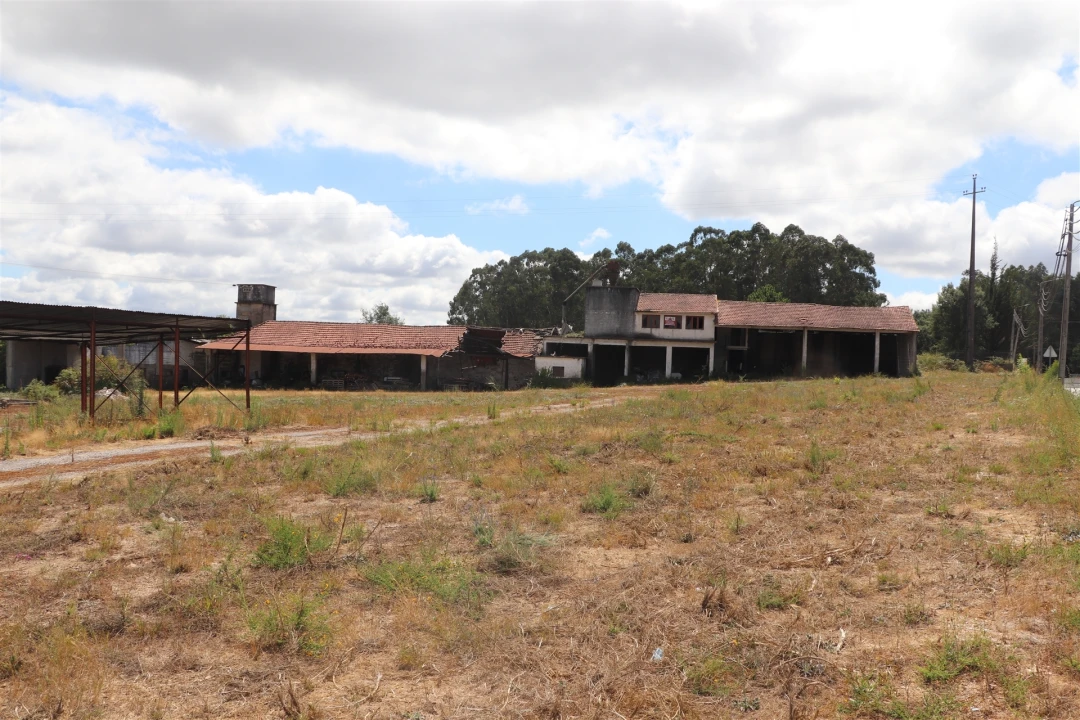 Armazém para Venda em Lustosa e Barrosas (Santo Estêvão) Foto 7