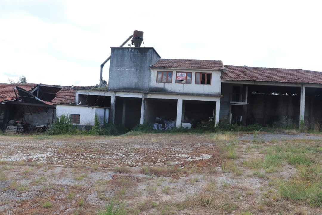 Armazém para Venda em Lustosa e Barrosas (Santo Estêvão) Foto 13