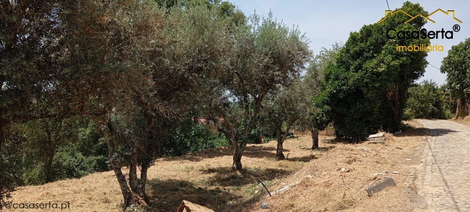 Moradia T4 para Venda em Sertã Foto 15