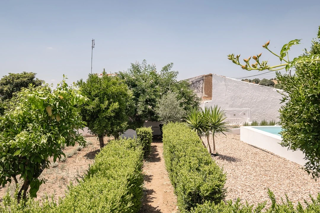 Moradia T7 para Venda em Cabeço de Vide Foto 63