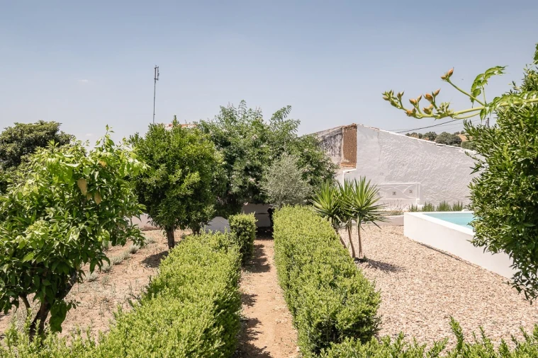 Moradia T7 para Venda em Cabeço de Vide Foto 63