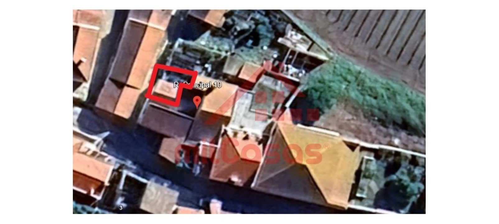 Negócio para Venda em Ribafria e Pereiro de Palhacana Foto 5