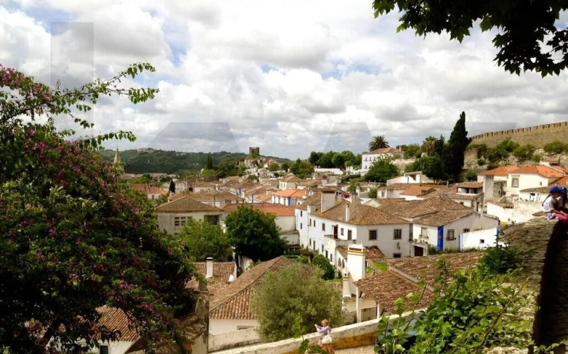 Terreno para Venda em Santa Maria, São Pedro e Sobral da Lagoa Foto 14