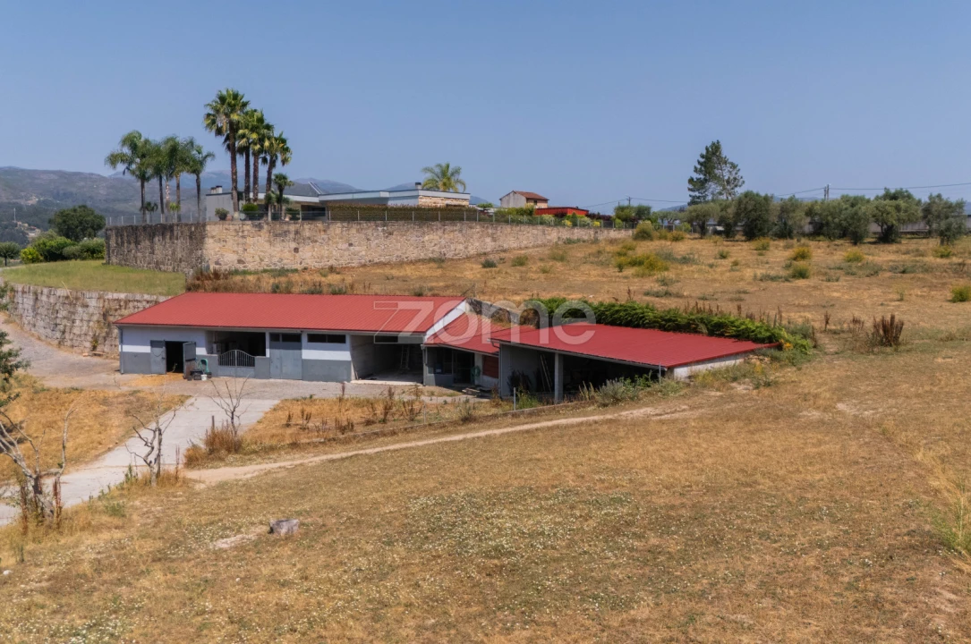 Moradia T4 para Venda em Aguiã Foto 52