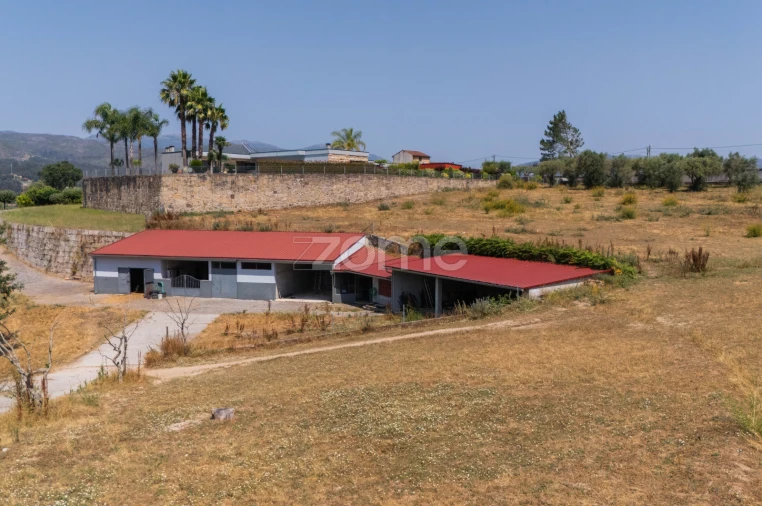 Moradia T4 para Venda em Aguiã Foto 52