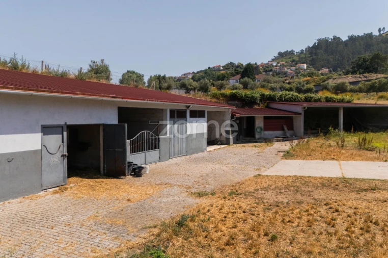 Moradia T4 para Venda em Aguiã Foto 53